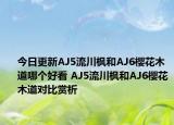 今日更新AJ5流川枫和AJ6樱花木道哪个好看 AJ5流川枫和AJ6樱花木道对比赏析