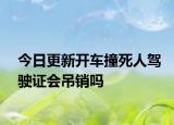 今日更新开车撞死人驾驶证会吊销吗