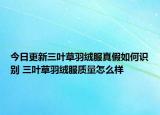 今日更新三叶草羽绒服真假如何识别 三叶草羽绒服质量怎么样
