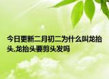 今日更新二月初二为什么叫龙抬头,龙抬头要剪头发吗