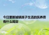 今日更新城镇孩子生活的抚养费有什么规定