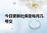 今日更新社保是每月几号交