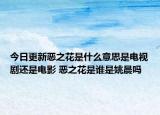 今日更新恶之花是什么意思是电视剧还是电影 恶之花是谁是姚晨吗