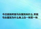今日更新库兹马女朋友叫什么 库兹马女朋友为什么身上白一块黑一块