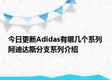 今日更新Adidas有哪几个系列 阿迪达斯分支系列介绍