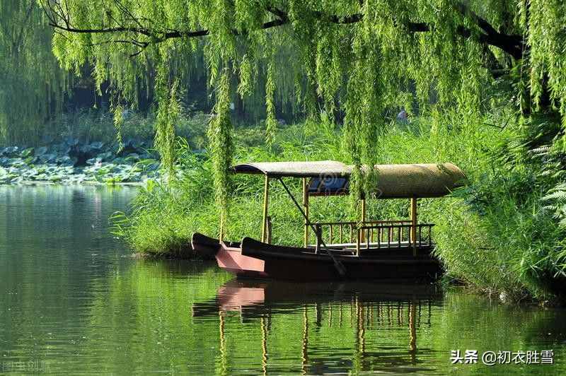 初夏绿阴诗词五首，日晚无来客，闲船系绿阴