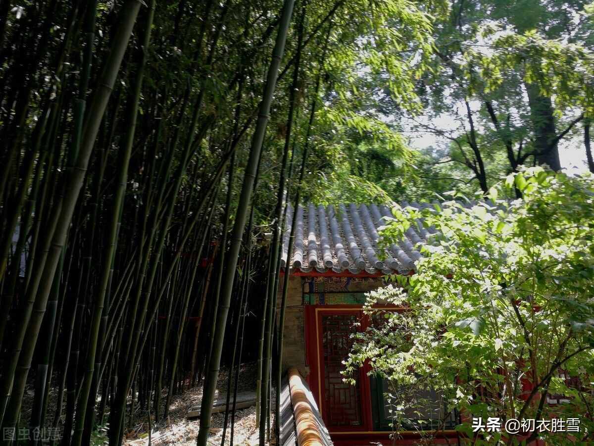 初夏绿阴诗词五首，日晚无来客，闲船系绿阴