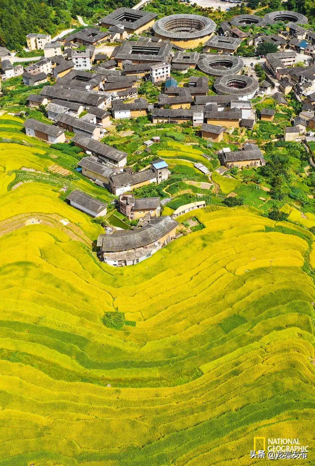 《国家地理》推荐永定土楼！这种“土”，爱了！