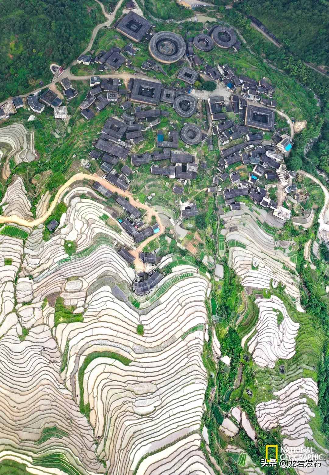 《国家地理》推荐永定土楼！这种“土”，爱了！