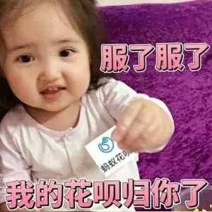 收图啦！75 张猪年壁纸，开启元气满满的一年！