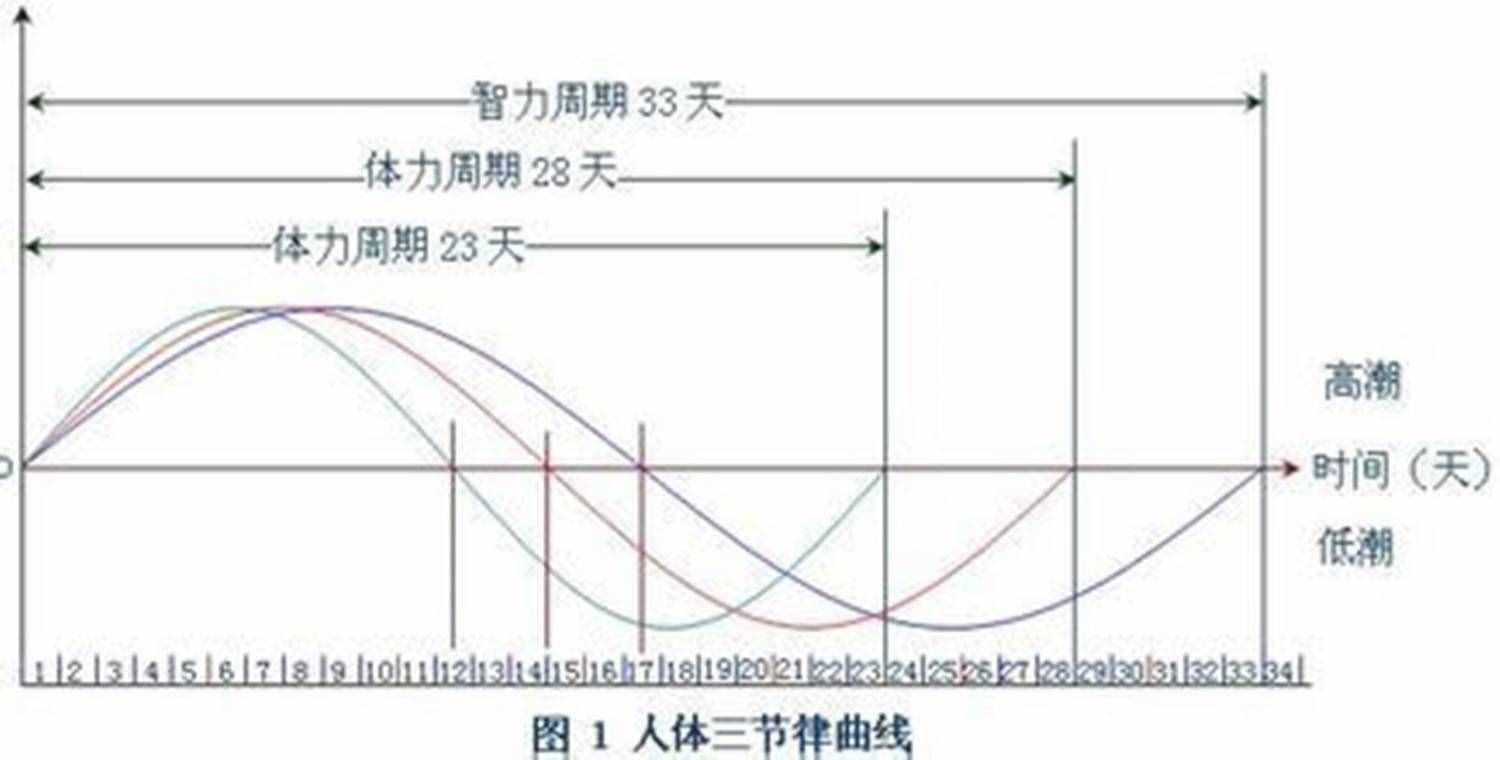如何利用“生物三节律”，提高孩子的考试成绩？家长可参考