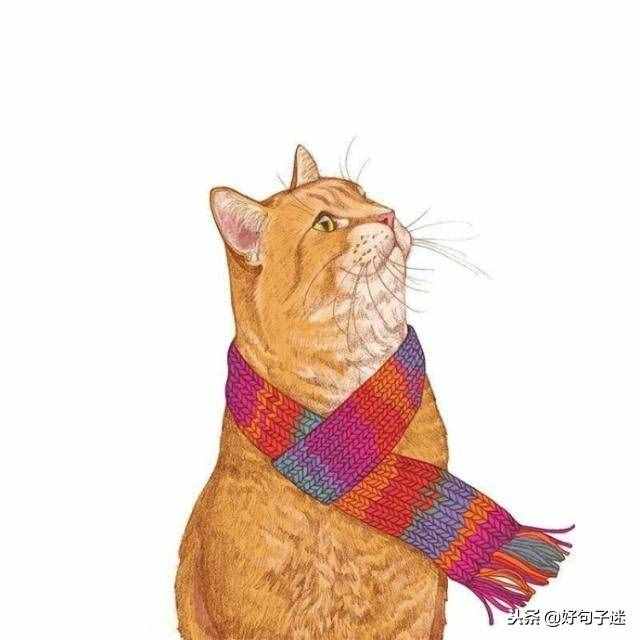 超级心酸伤感的个性签名，字字锥心，催泪无底线！