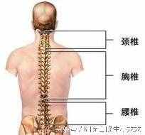 骨质增生秘方大公开，告别疼痛，治一个好一个的良方！