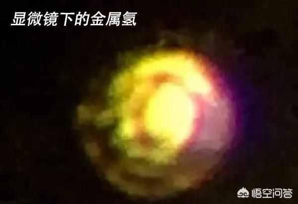 化石的形成与流水掩埋无关