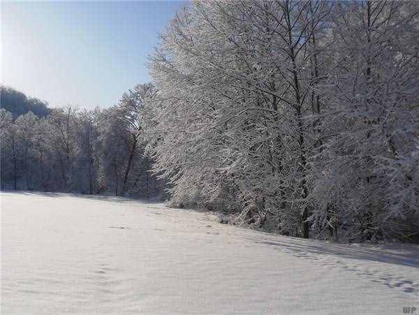 最全下雪天心情说说，浪漫、文艺、伤感、幽默……总有一句你喜欢的