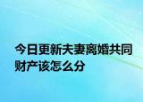 今日更新夫妻离婚共同财产该怎么分