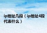 ip地址几段（ip地址4段代表什么）