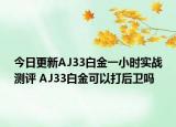 今日更新AJ33白金一小时实战测评 AJ33白金可以打后卫吗