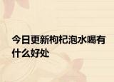 今日更新枸杞泡水喝有什么好处