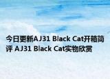 今日更新AJ31 Black Cat开箱简评 AJ31 Black Cat实物欣赏