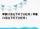 苹果11怎么下不了小红书（苹果11怎么下不了小红书）