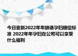 今日更新2022年年辞退孕妇赔偿标准 2022年年孕妇在公司可以享受什么福利