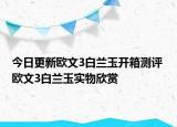 今日更新欧文3白兰玉开箱测评 欧文3白兰玉实物欣赏