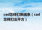 cad怎样打断线条（cad怎样打出平方）