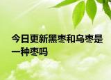 今日更新黑枣和乌枣是一种枣吗
