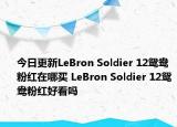 今日更新LeBron Soldier 12鸳鸯粉红在哪买 LeBron Soldier 12鸳鸯粉红好看吗