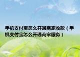 手机支付宝怎么开通商家收款（手机支付宝怎么开通商家服务）