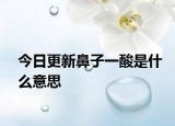今日更新鼻子一酸是什么意思
