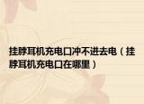 挂脖耳机充电口冲不进去电（挂脖耳机充电口在哪里）
