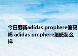 今日更新adidas prophere偏码吗 adidas prophere脚感怎么样