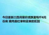 今日更新三四月猪价或跌至每斤6元谷底 猪肉盖红章和蓝章的区别
