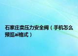 石家庄卖压力安全阀（手机怎么预览ai格式）