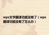wps文字翻译功能没有了（wps翻译功能没有了怎么办）