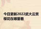 今日更新2022武大云赏樱花在哪里看