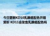 今日更新KD10乳腺癌配色开箱赏析 KD11会发售乳腺癌配色吗
