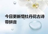 今日更新惜牡丹花古诗带拼音