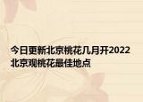 今日更新北京桃花几月开2022 北京观桃花最佳地点