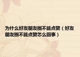 为什么好友朋友圈不能点赞（好友朋友圈不能点赞怎么回事）