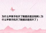 为什么苹果手机开了数据还是没有网（为什么苹果手机开了数据还是用不了）