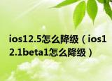 ios12.5怎么降级（ios12.1beta1怎么降级）