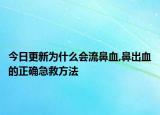 今日更新为什么会流鼻血,鼻出血的正确急救方法