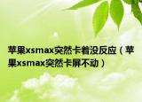 苹果xsmax突然卡着没反应（苹果xsmax突然卡屏不动）