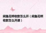 闲鱼花呗收款怎么开（闲鱼花呗收款怎么开通）