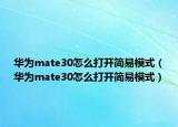 华为mate30怎么打开简易模式（华为mate30怎么打开简易模式）