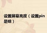 设置屏幕亮度（设置pin是啥）
