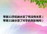 苹果11手机掉水里了有没有关系（苹果11掉水里了对手机有影响吗）